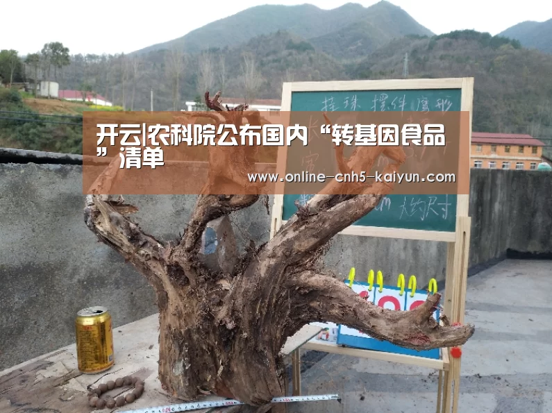 开云|农科院公布国内“转基因食品”清单(图2) 开云APP