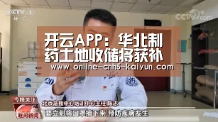 开云平台