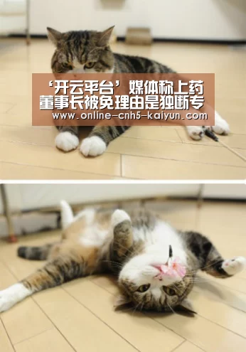 开云