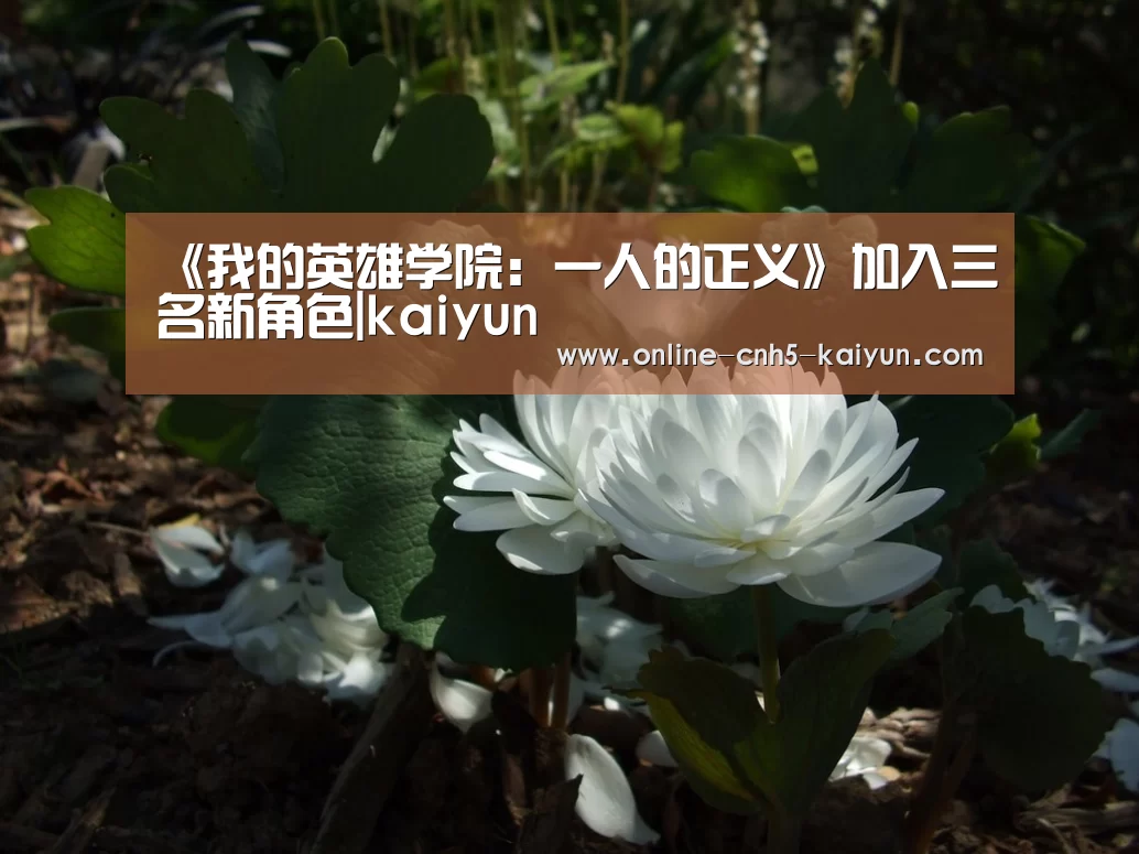 《我的英雄学院:一人的正义》加入三名新角色|kaiyun(图1) 开云平台