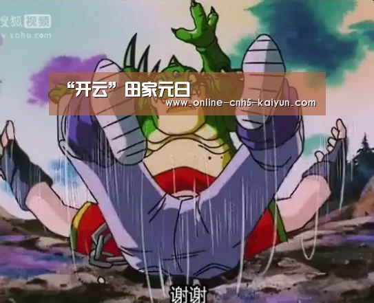 “开云”田家元日(图3)